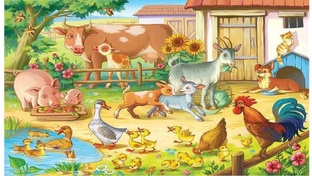 Коты, собаки, другие животные и птицы