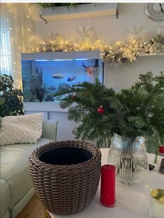 В предвкушении Нового года🤗🤗🤗🤗🤗