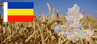 Новости Ростовской области