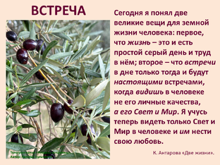 Дельная встреча.