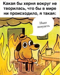 тренировки 😉