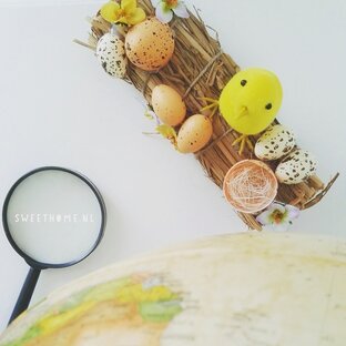 Дневник беременяшки