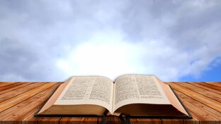 1 послание Петра / М.М. Мудренко