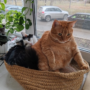 Кекс и Маня