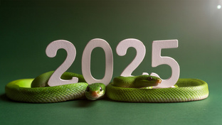 ГОРОСКОПЫ НА  2025 ГОД 