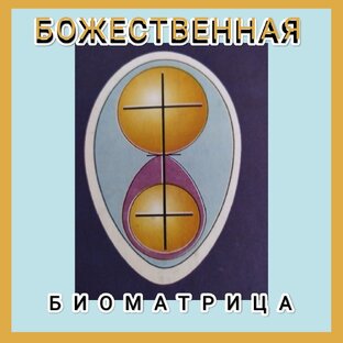 БОЖЕСТВЕННАЯ БИОМАТРИЦА