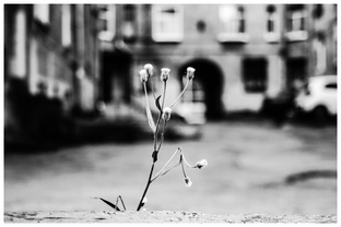 Путешествия.