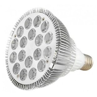 Да будет СВЕТ! 