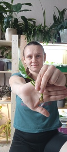 «Зелёные эксперименты: успехи и неудачи» 