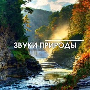 Звуки природы
