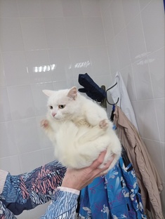 Хотят домой! Помощь информационно