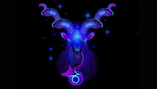 КОЗЕРОГ ♑ 2025