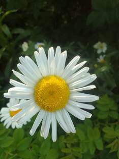 Есть что вспомнить 