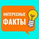 Интересно 😲😲😲