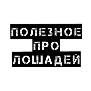 Полезное про лошадей