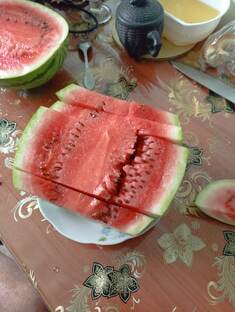 Теплица, сад и огород. 