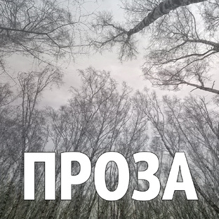 Проза