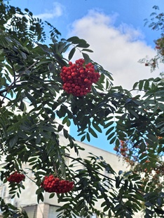  Сентябрь на 25 тыс. руб. в Санкт-Петербурге. 