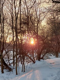 Московская обл.