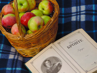 Увлекательные книжные эпизоды