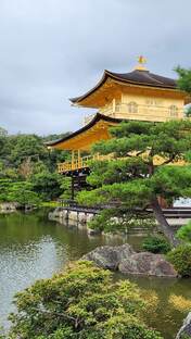 Рубрика "Прикольные сны"