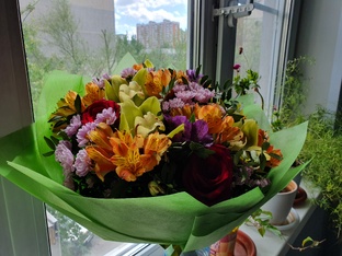 Беременность и роды