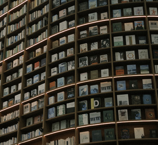 Истории из жизни