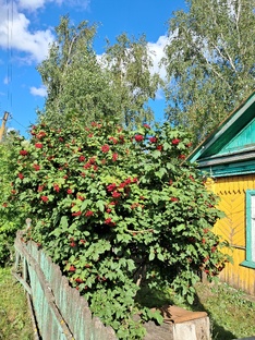 Дачный сериал.  Свой огород. Село В-Ломов.