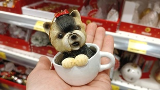 МАГНИТ КОСМЕТИК