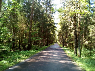 Непридуманные истории