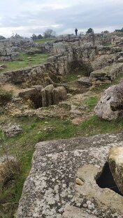 Справочник СНТ