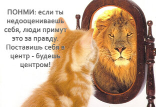 Эволюция Себя: Шаг за Шагом!