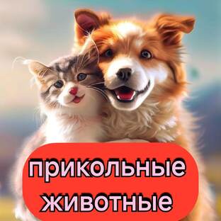 Рубрика: такие забавные животные