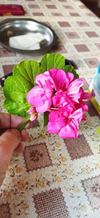 Проверенные народные рецепты