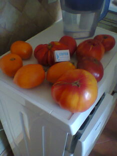 Томаты 