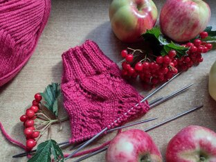 СП Носочки с Таней 2024. 