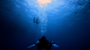 Египет, Хургада, 2024