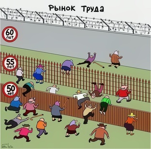 занятость населения 