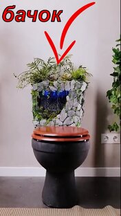 Короткие ролики