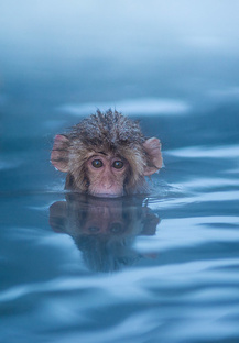 Ценный навык