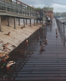 прогулки у воды