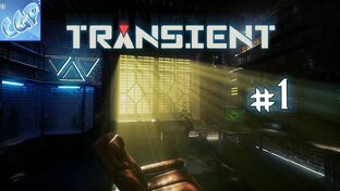 Transient