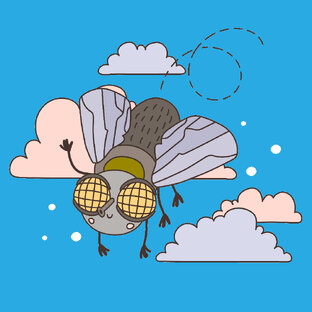 В мире животных