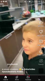 ролики