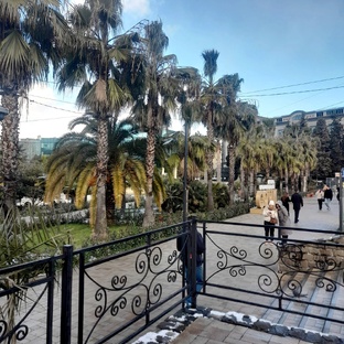 В Сочи и обратно за 40 часов 