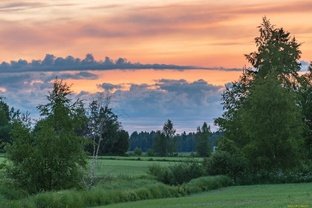 Где родился, там и пригодился