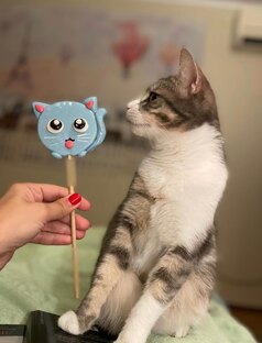 Кошки нашептали
