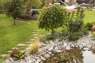 Красивые сады