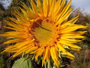 Чёрное море. КРЫМ. 