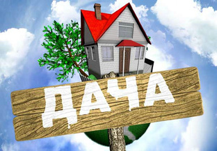 Дела на даче! 